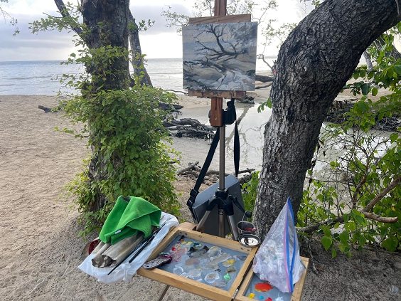 Inspiration Fridays Are you playing it safe? Calolima the Little Creek